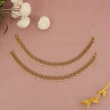 antique multy payal
