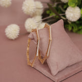 Cubic Zirconia Gold Plated AD Bangle